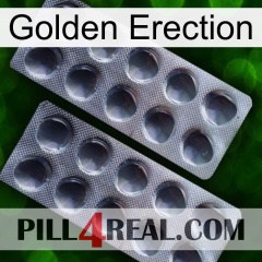 Golden Erection 31